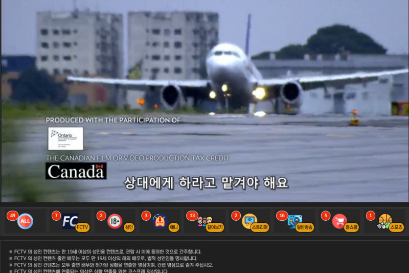라이브 TV
