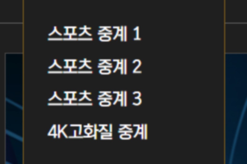 다양한 중계 서비스
